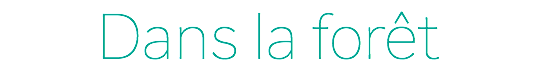 Dans la forêt
